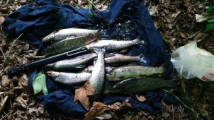 Muž lovil pstruhy ve Mži, nelegálně