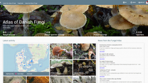 Mobilní aplikace mapuje a rozpoznává houby