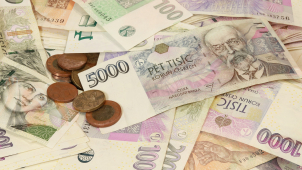 Na podporu zaměstnávání zdravotně postižených šlo 7,4 miliardy