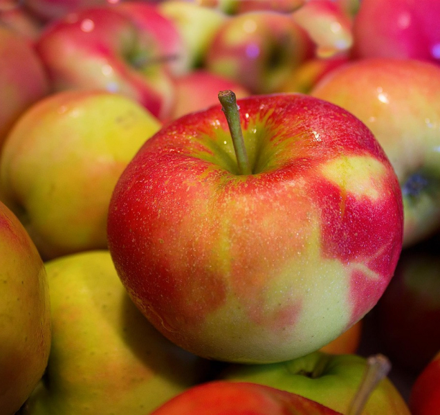 Slavnosti Jablek v Plzni budou! Dostanou finanční podporu