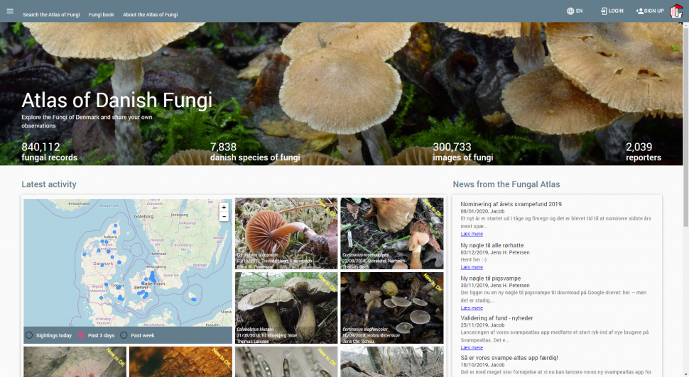 Mobilní aplikace mapuje a rozpoznává houby